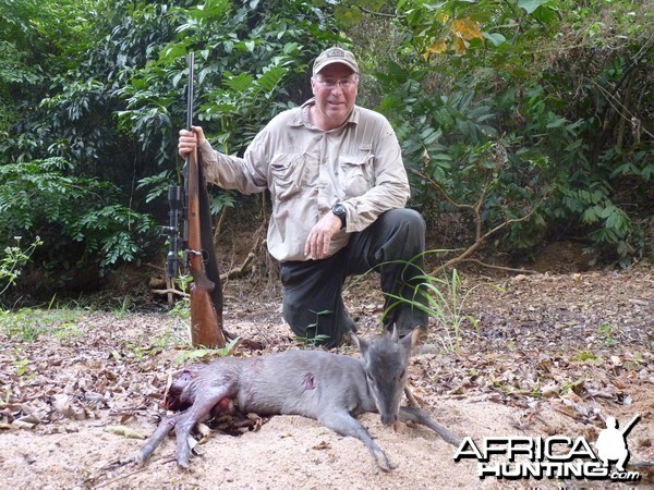 Blue Duiker hunted in CAR