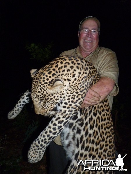 Hunting Leopard  in CAR