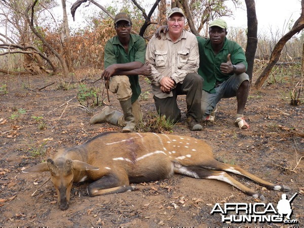 The oldest bushbuck I have ever seen!