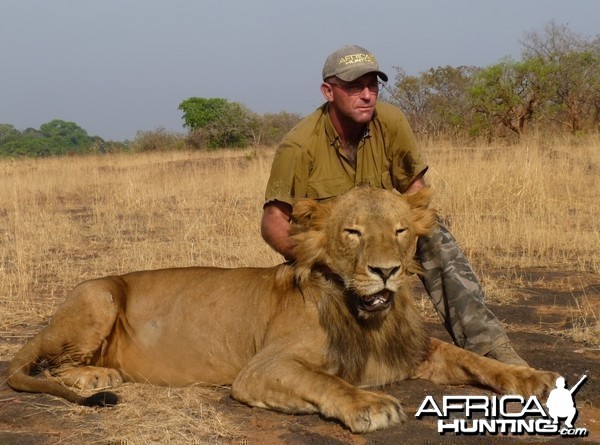 Superb Lion hunted in CAR