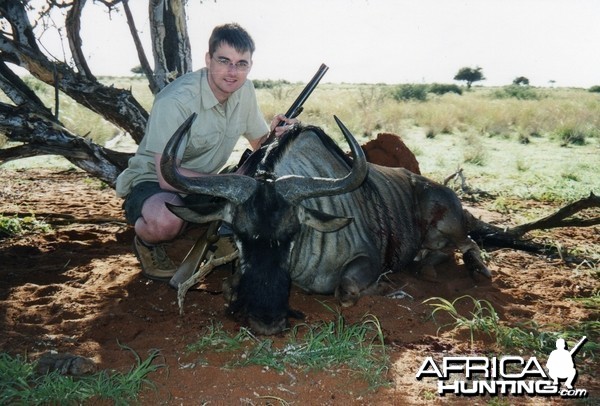 Blue Wildebeest, Namibia 2004