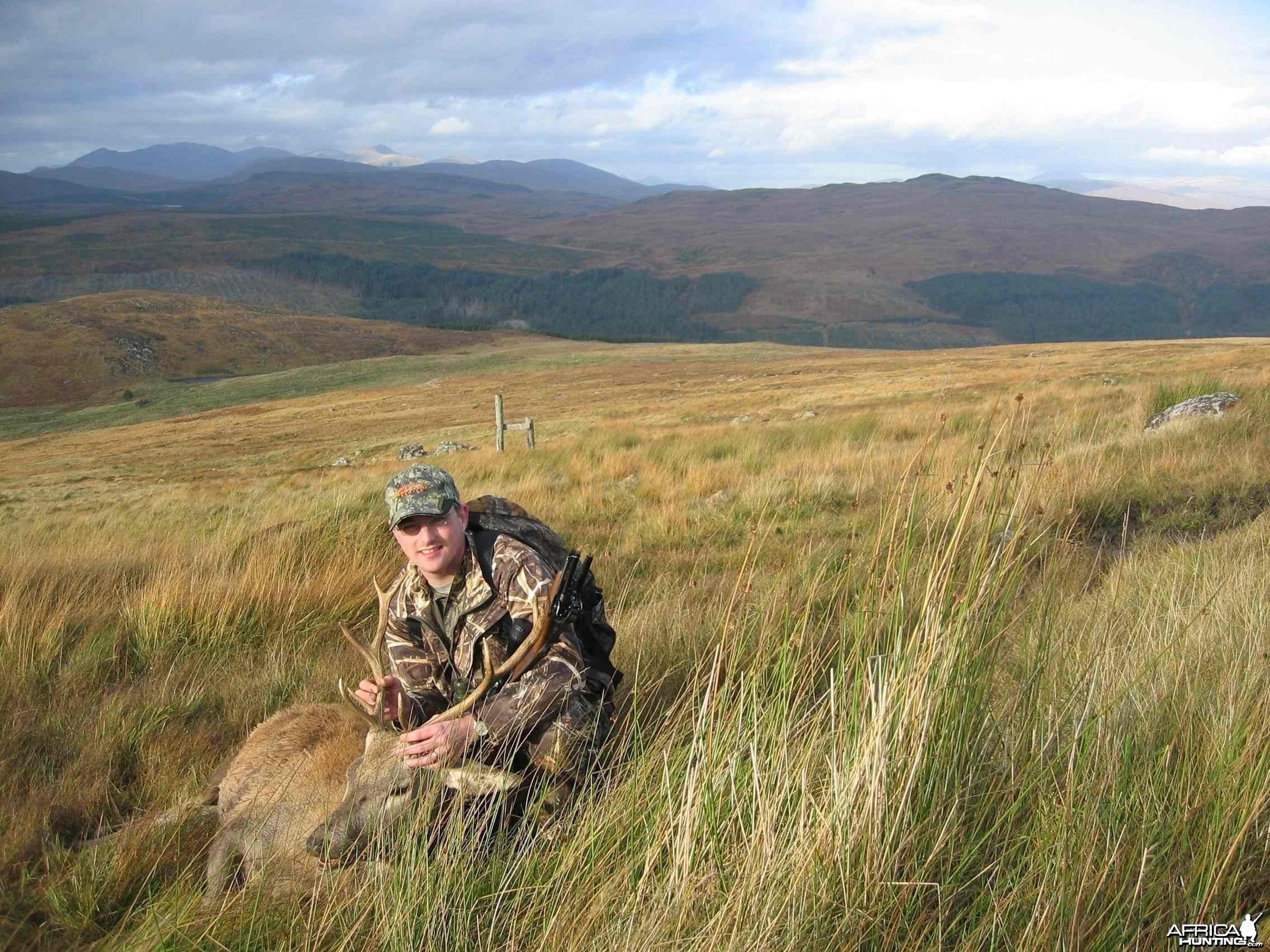 Red Stag, Scotland 2005