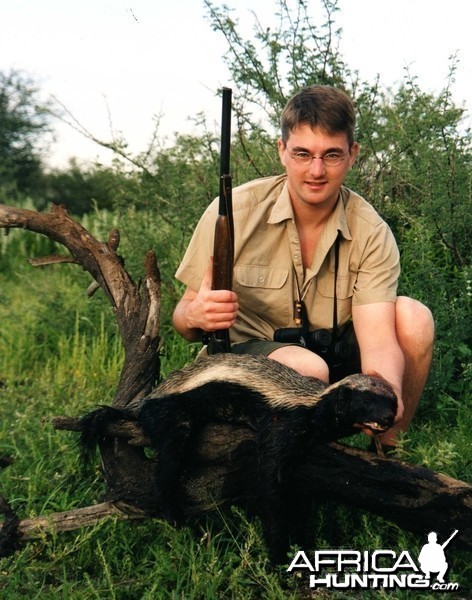 Honey badger, Namibia 2004