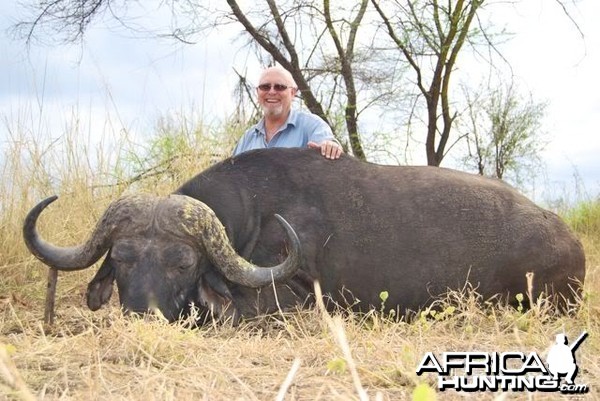 42 inch Buffalo hunted in Zimbabwe with Pelandaba Safaris