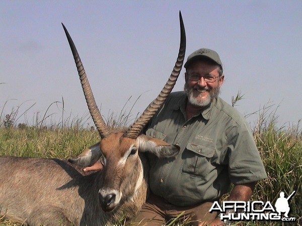 Beautiful warebuck