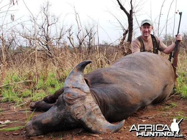 Buffalo hunted by calling in CAR