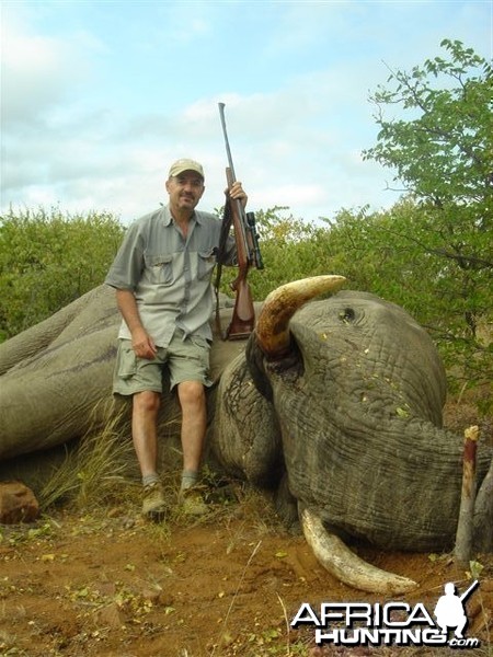 Elephant hunt in South Africa