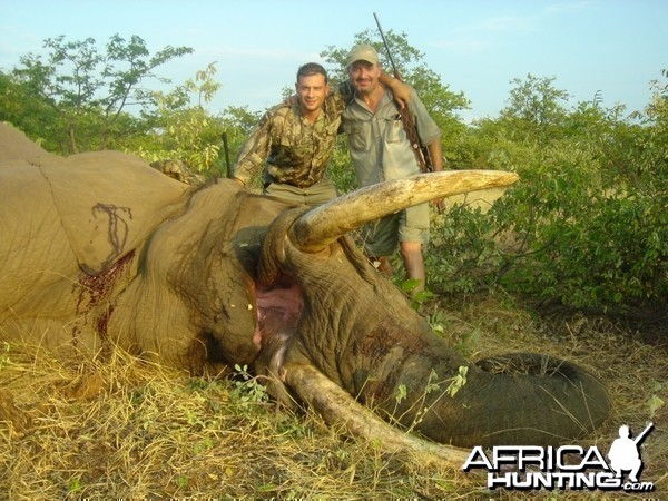 Elephant hunt in South Africa