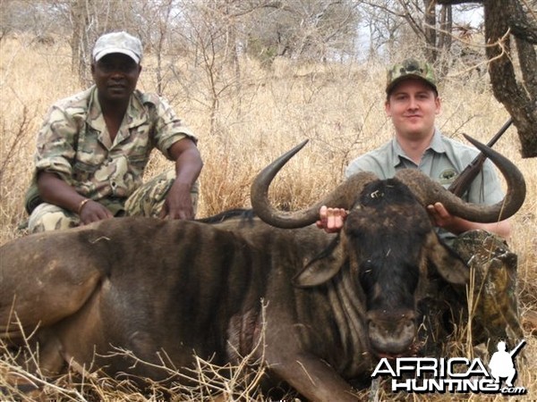 Blue Wildebeest Leeukop Safaris