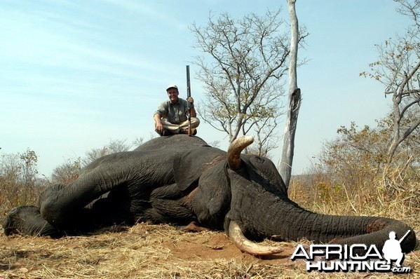 Elephant Hunting