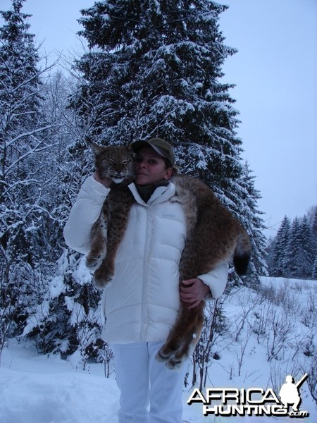 Lynx Hunt in Romania