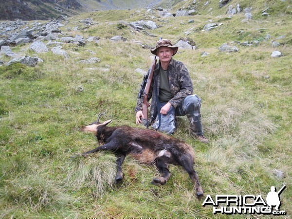 Hunting Carpathian Chamois in Romania