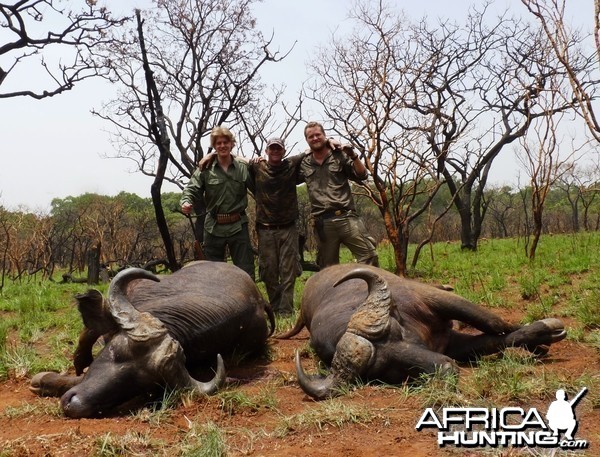 Double on Buffalo, hunting in CAR