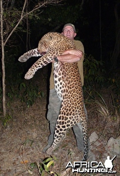 Leopard hunted in Central African Republic