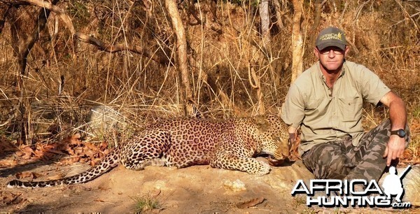 Hunting Leopard in Central African Republic