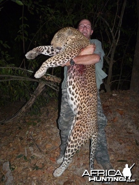 Hunting Leopard in Central African Republic