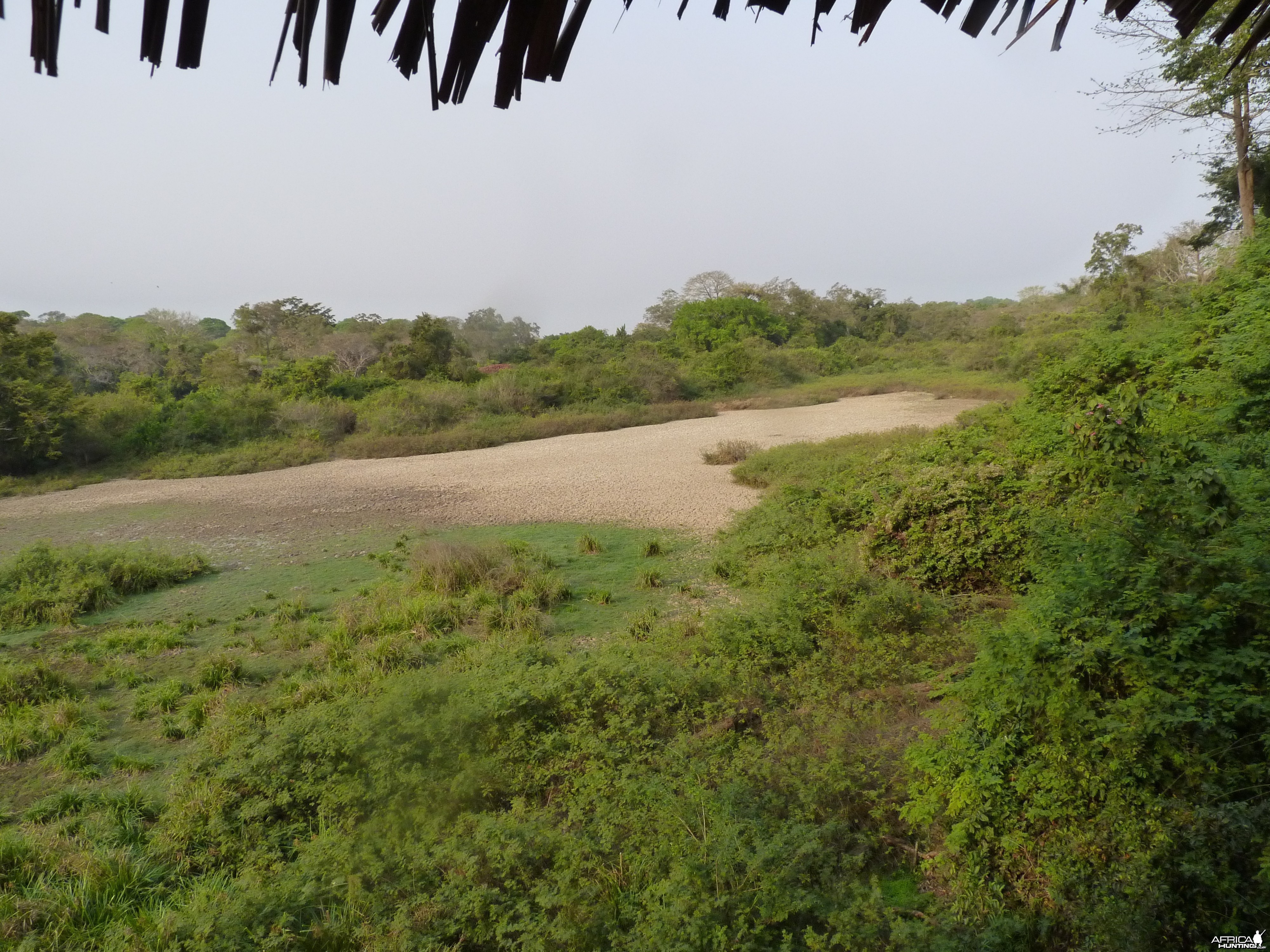 Hunting in Central African Republic
