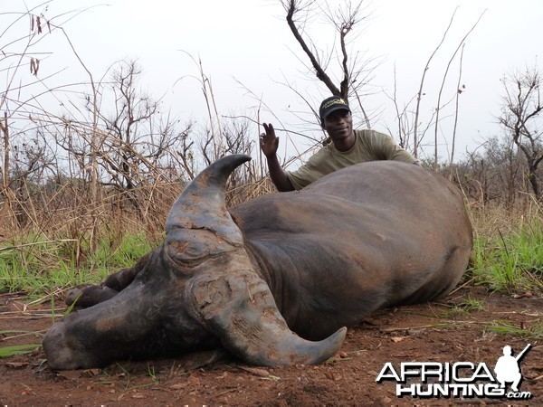 Hunting Buffalo in Central African Republic