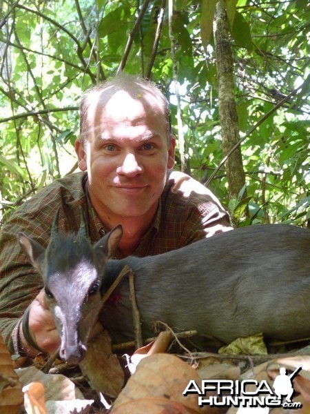 Hunting Blue Duiker in Central African Republic