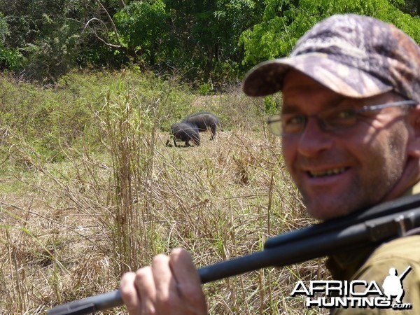 Hunting Giant Forest Hog in Central African Republic