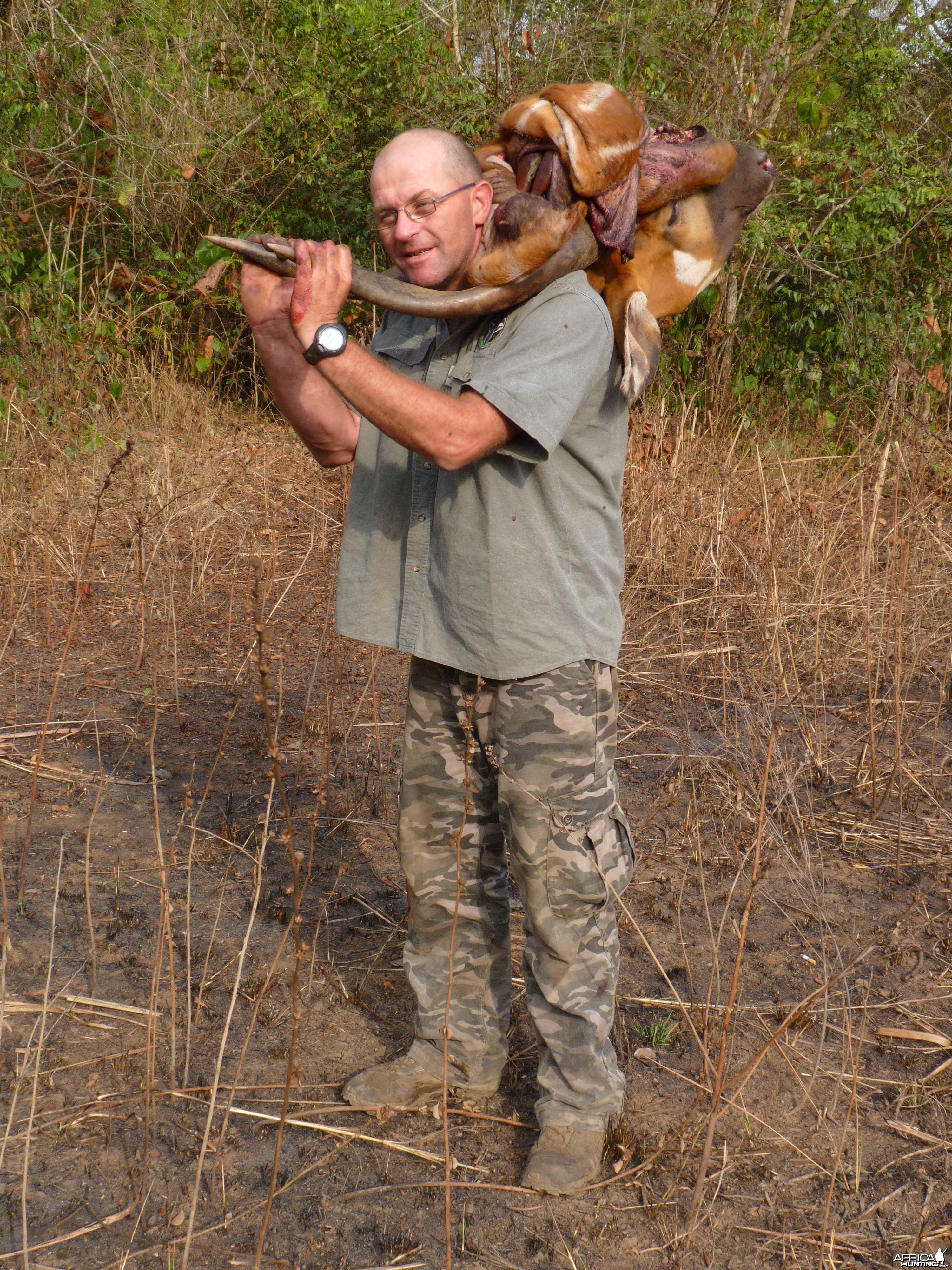 Hunting Bongo in Central African Republic