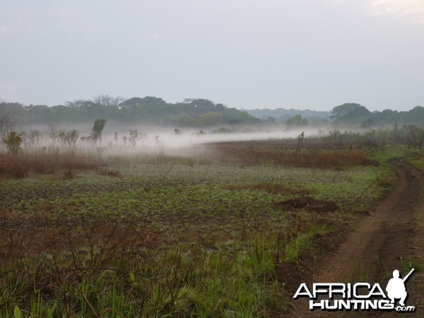 Hunting in CAR