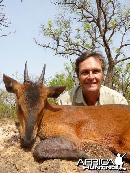 Hunting red Flanked Duiker in CAR