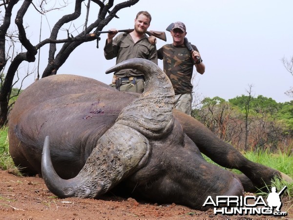 Hunting Buffalo in CAR