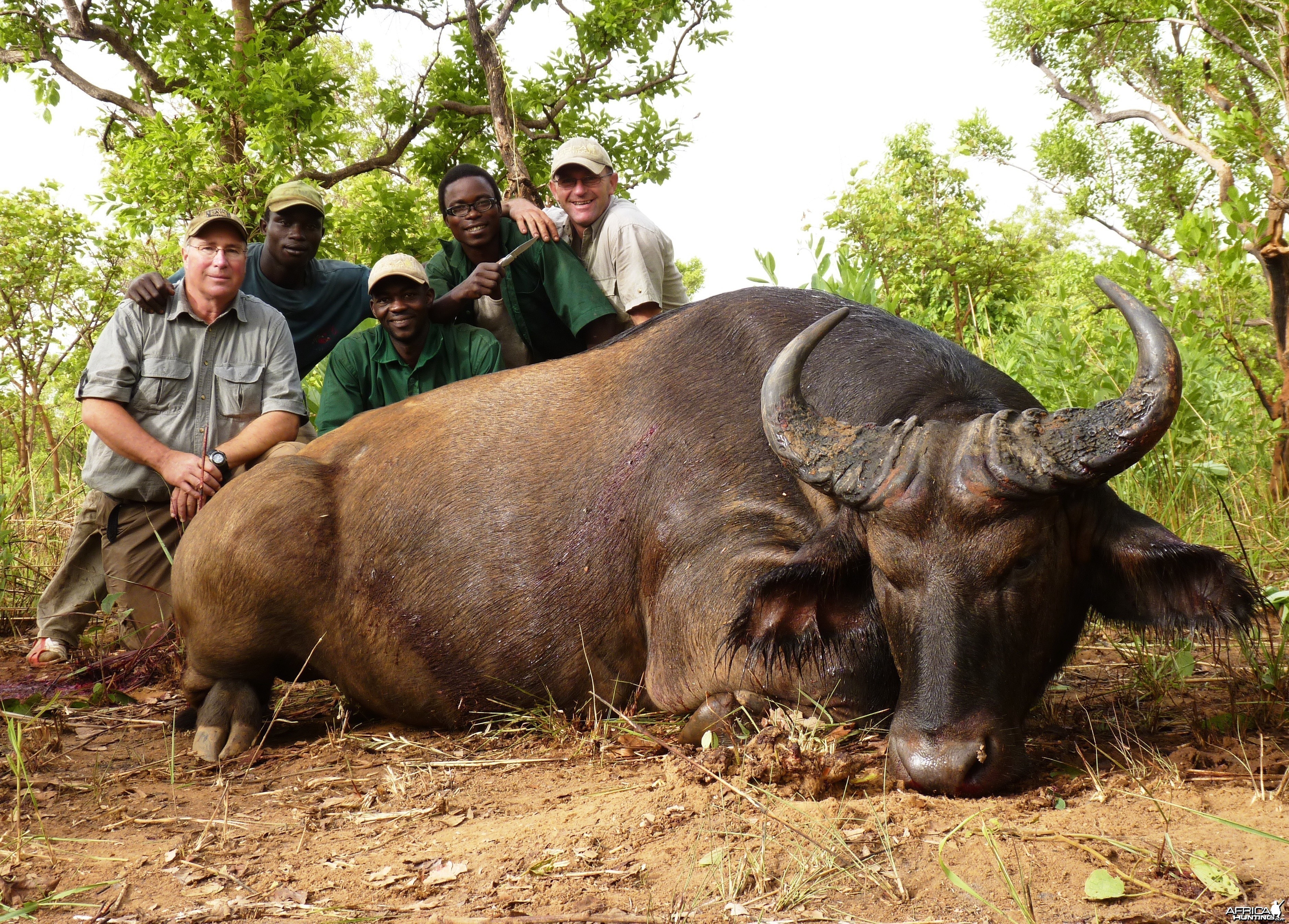 Buffalo hunted in CAR
