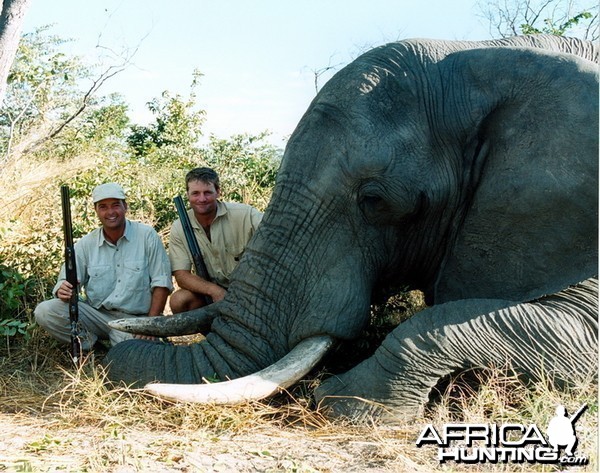 Elephant Hunting