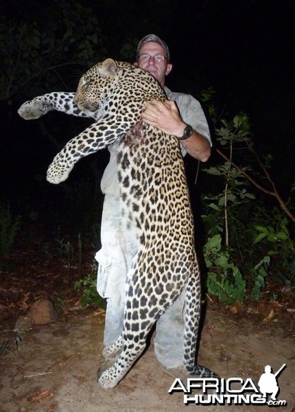 Leopard hunted in CAR