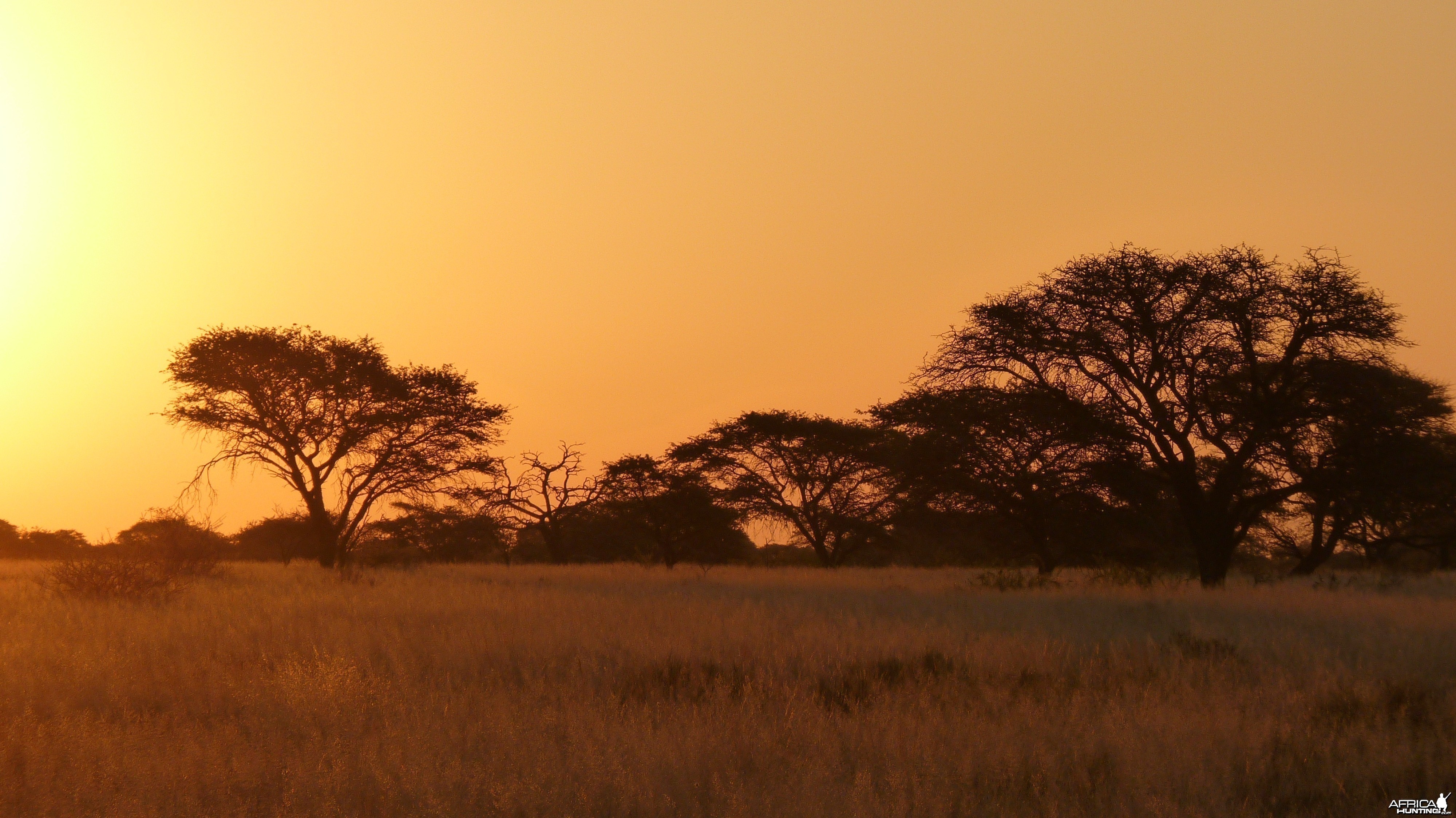 Hunting with Wintershoek Johnny Vivier Safaris in South Africa