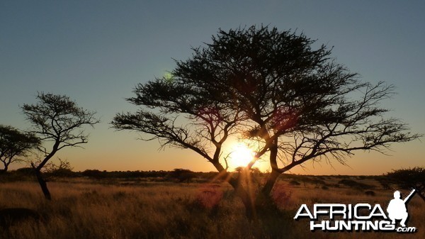 Hunting with Wintershoek Johnny Vivier Safaris in South Africa