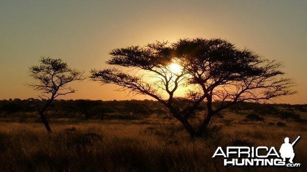 Hunting with Wintershoek Johnny Vivier Safaris in South Africa