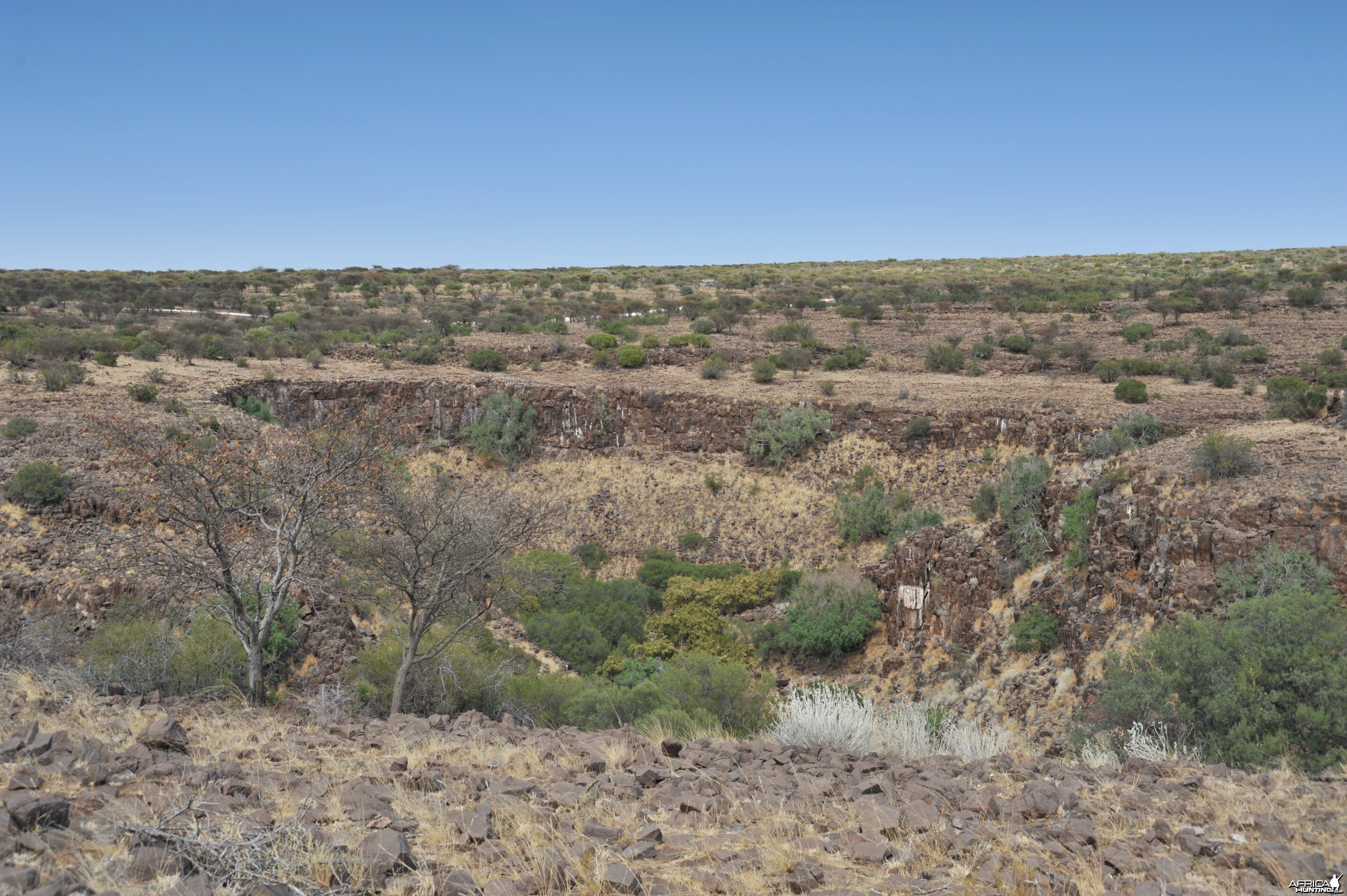 Hunting with Wintershoek Johnny Vivier Safaris in South Africa