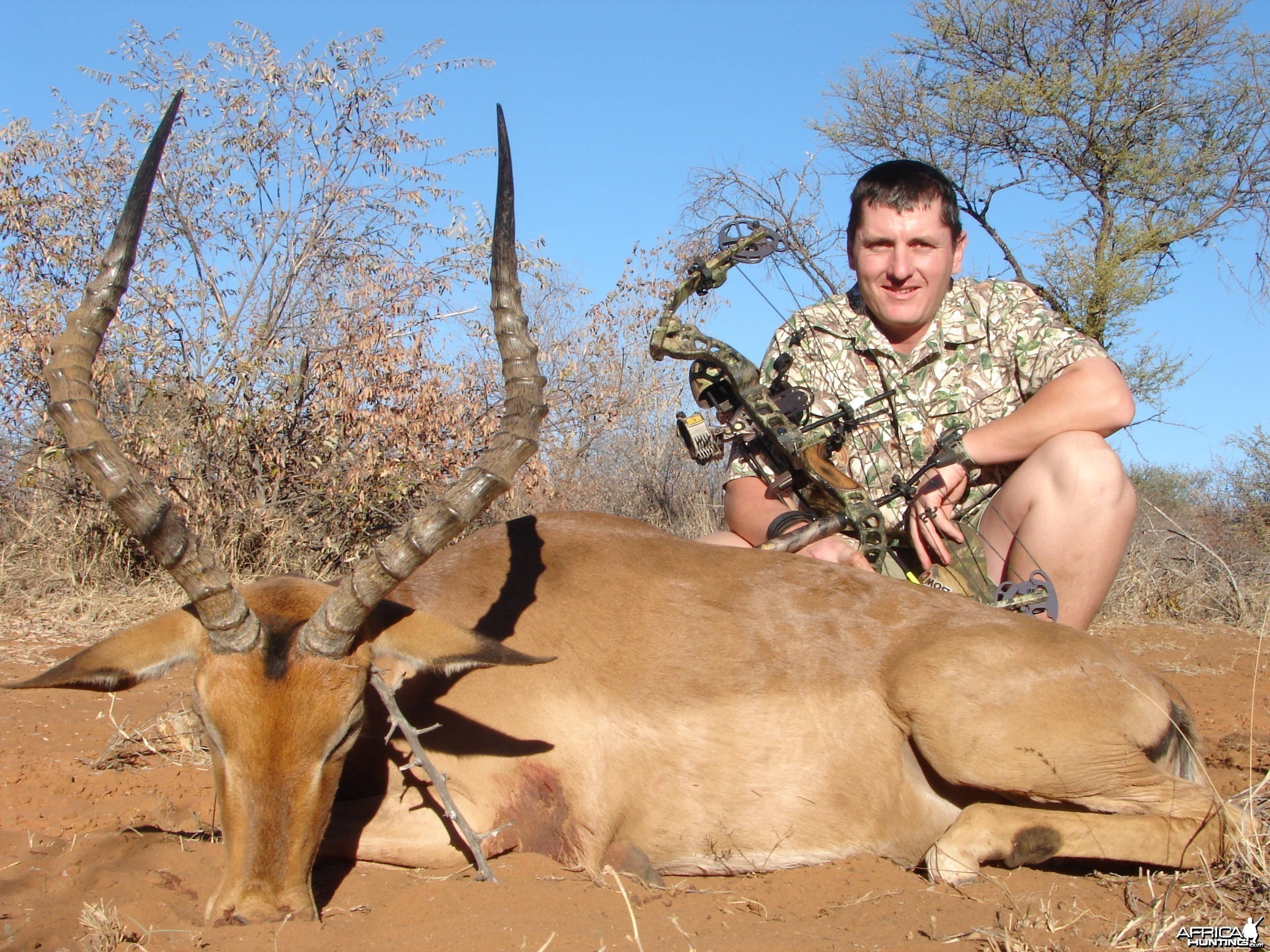Impala Bow kill
