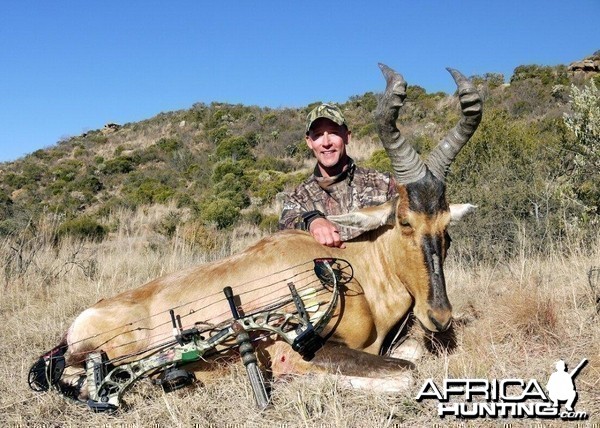 Bowhunting Red Hartebeest with Wintershoek Johnny Vivier Safaris in South A