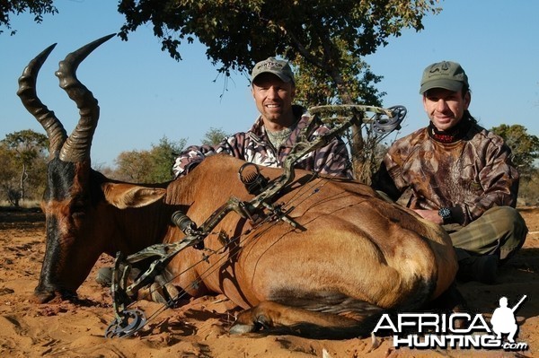 Bowhunting Red Hartebeest with Wintershoek Johnny Vivier Safaris in South A