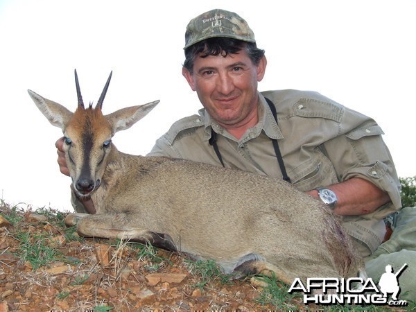 Hunting Grey Duiker with Wintershoek Johnny Vivier Safaris in SA