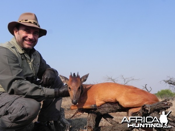 Hunting Red Duiker with Wintershoek Johnny Vivier Safaris in SA