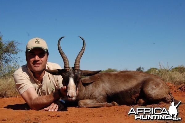 Hunting Black Springbuck with Wintershoek Johnny Vivier Safaris in SA