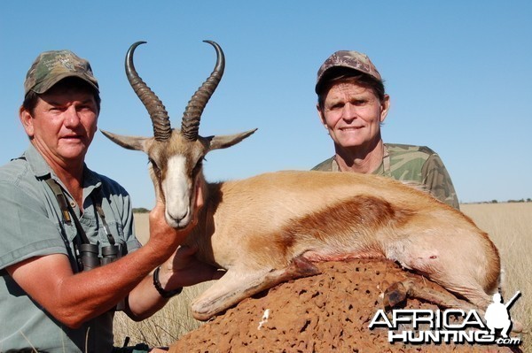 Hunting Copper Springbuck with Wintershoek Johnny Vivier Safaris in SA