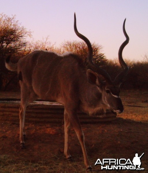 S'Dudla Game Cam Photos