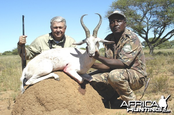 Hunting White Springbuck with Wintershoek Johnny Vivier Safaris in SA