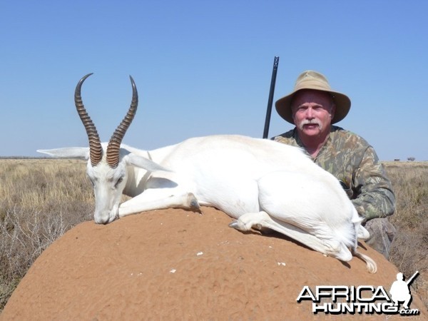 Hunting White Springbuck with Wintershoek Johnny Vivier Safaris in SA