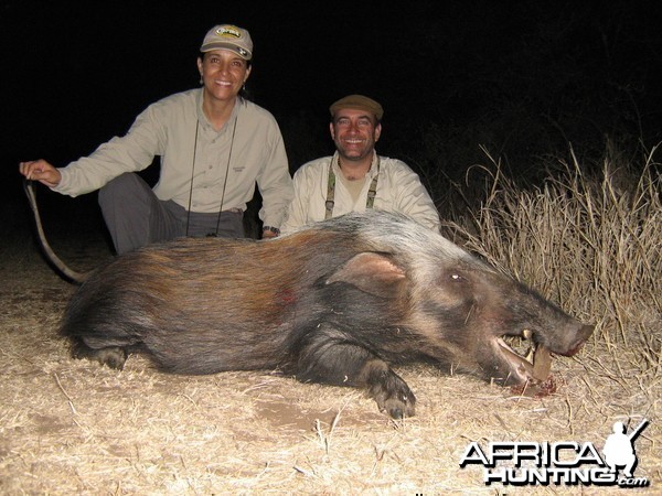 Hunting Bush Pig with Wintershoek Johnny Vivier Safaris in SA