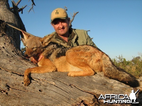 Hunting Jackal with Wintershoek Johnny Vivier Safaris in SA