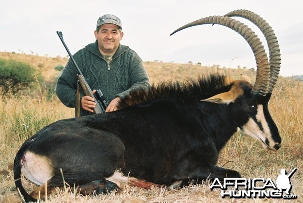 Hunting Sable with Wintershoek Johnny Vivier Safaris in SA