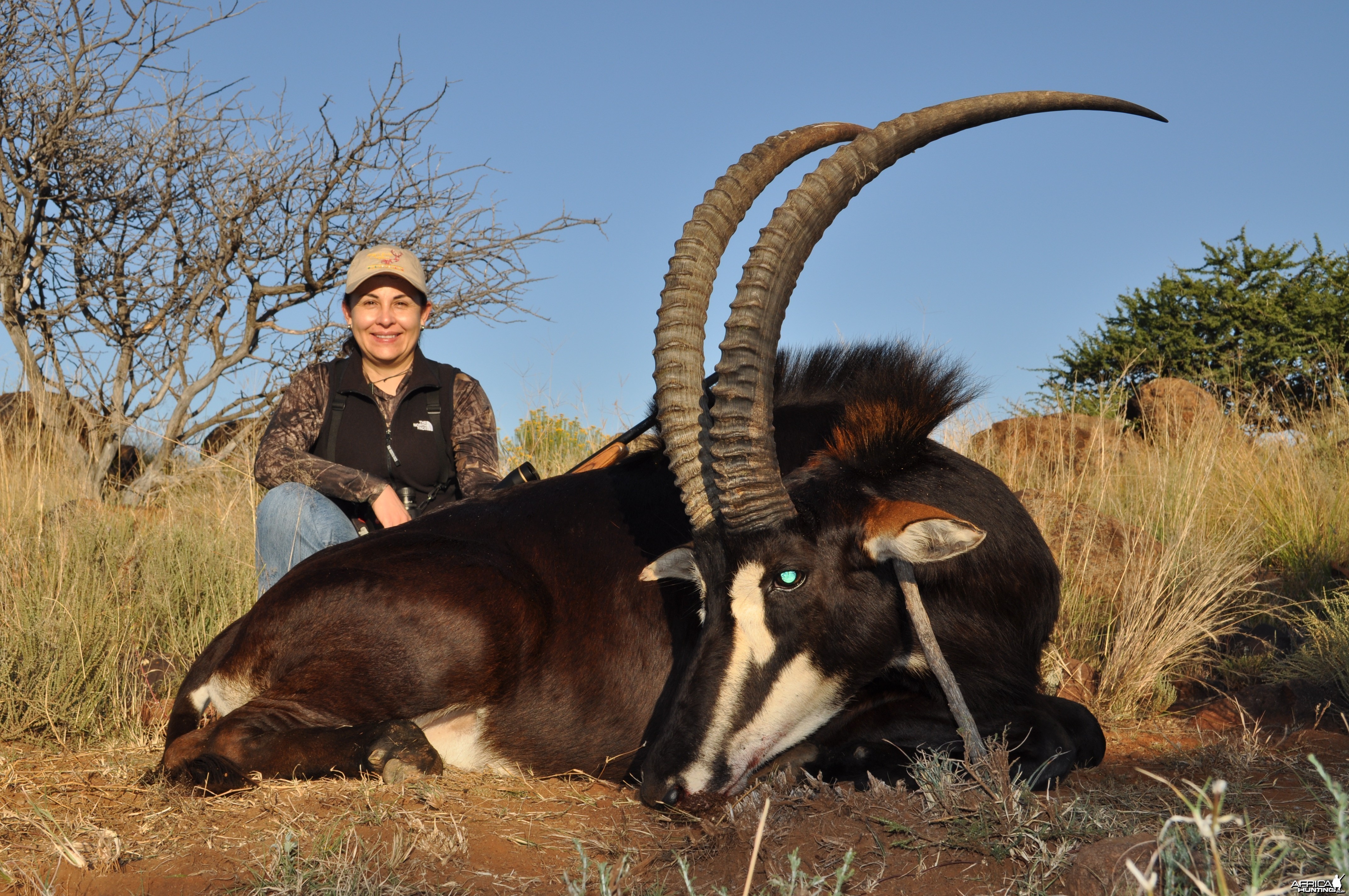 Hunting Sable with Wintershoek Johnny Vivier Safaris in SA