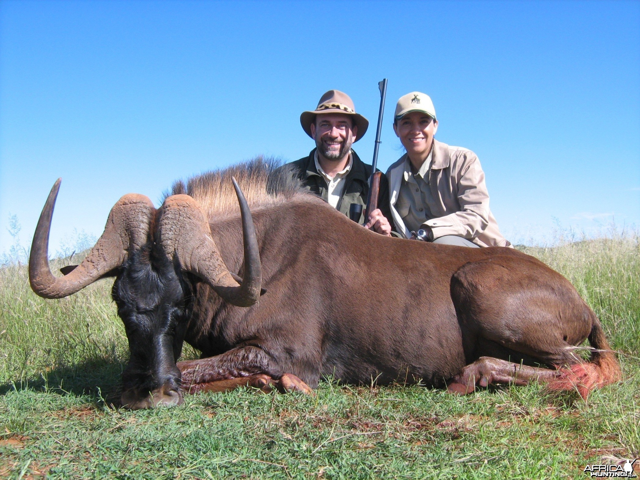 Hunting Black Wildebeest with Wintershoek Johnny Vivier Safaris in SA